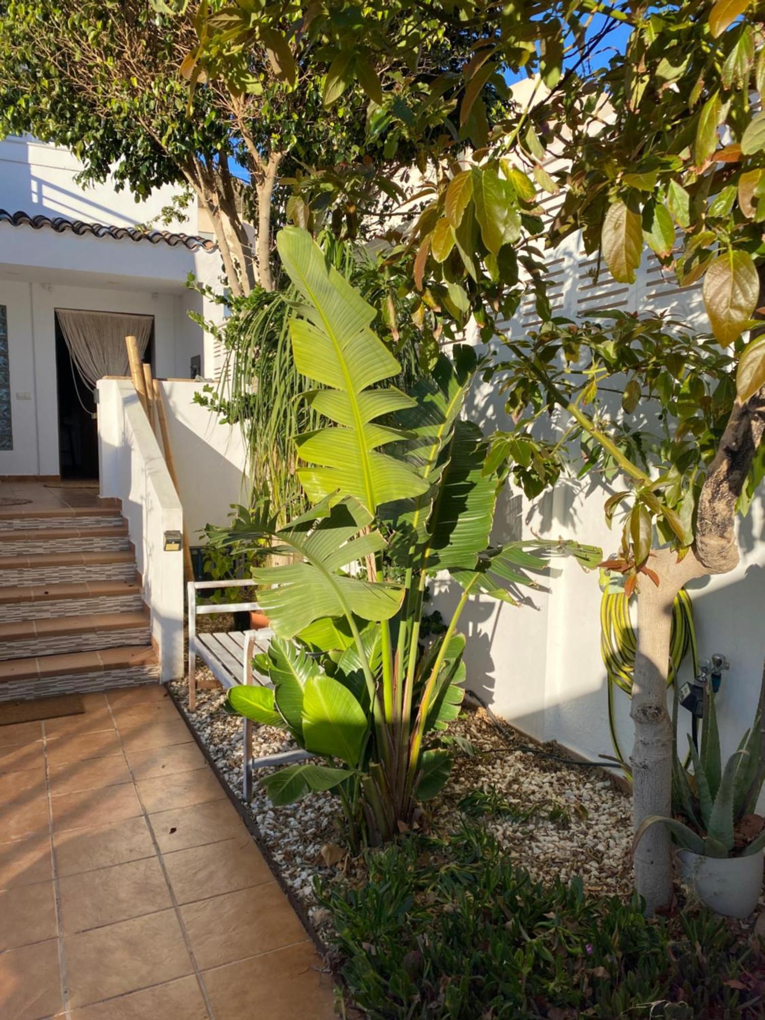 Casa Energia Del Cabo. San Jose Cabo De Gata. Villa Bagian luar foto
